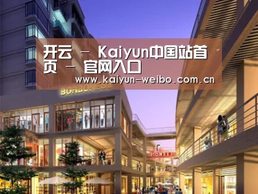 案例展示一(图1)